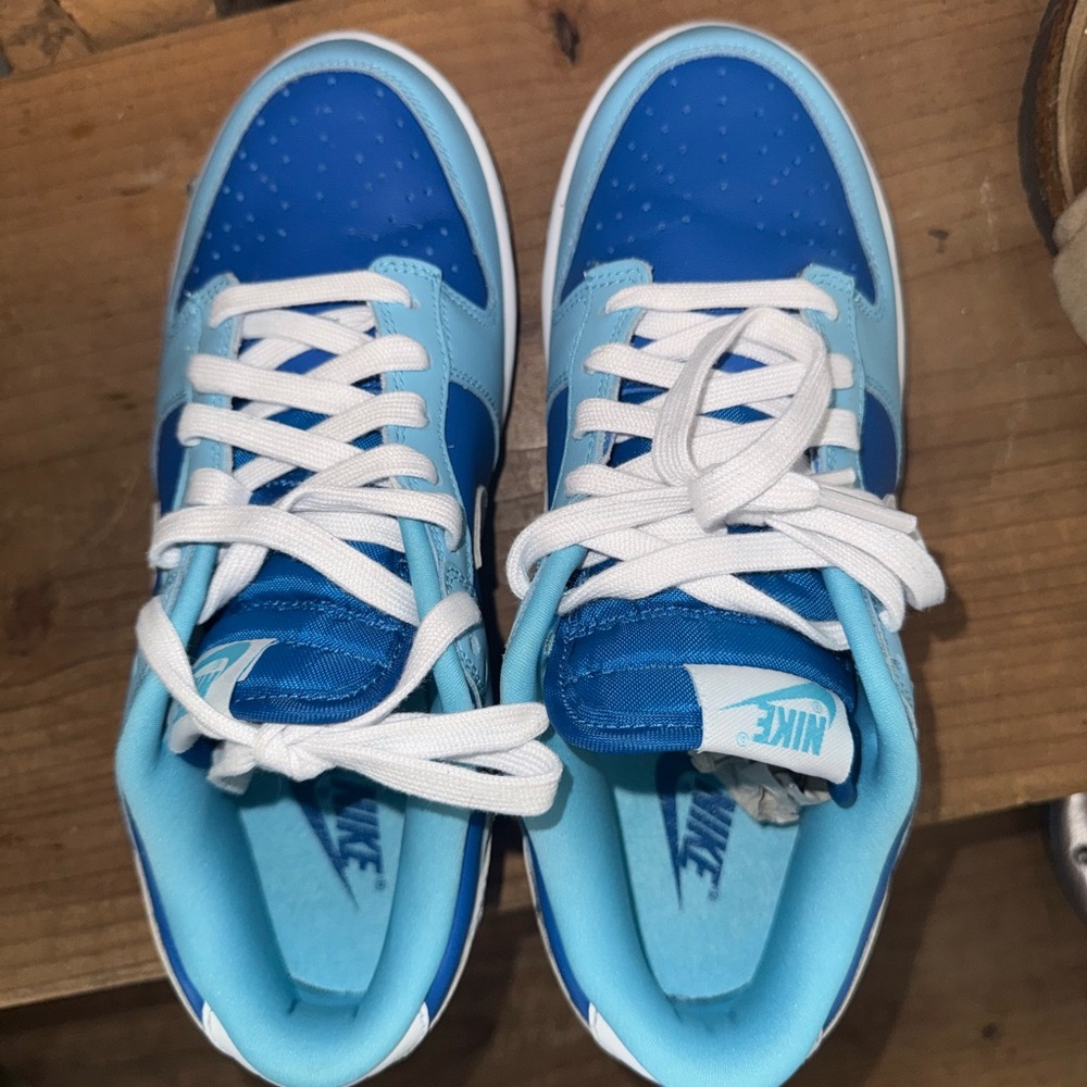 Nike Dunk Low Retro QS Argon 2022 (GS)